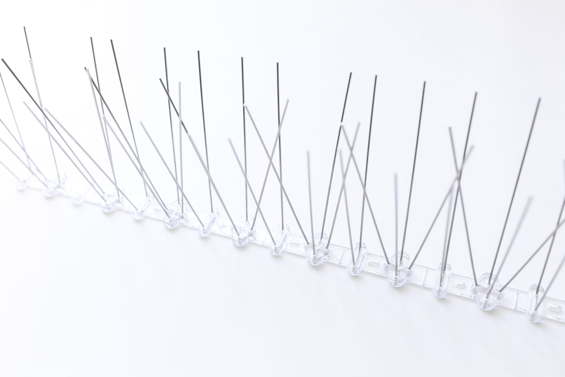 Spikes zur Taubenabwehr