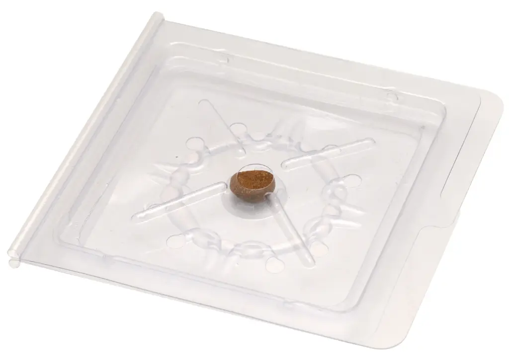 finicon® Silberfischchen-Monitor